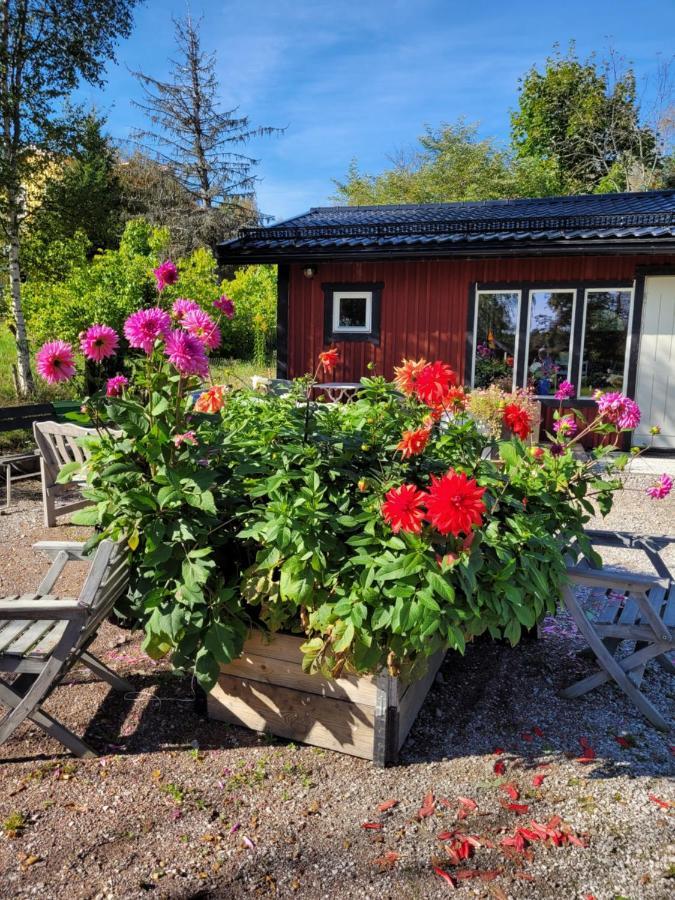 Stugafalun Eksteriør billede
